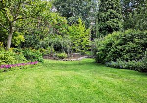 Optimiser l'expérience du jardin à Puligny-Montrachet